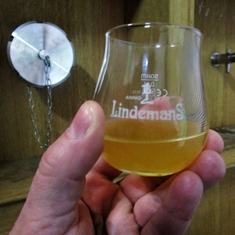 Visit Lindemans brewery